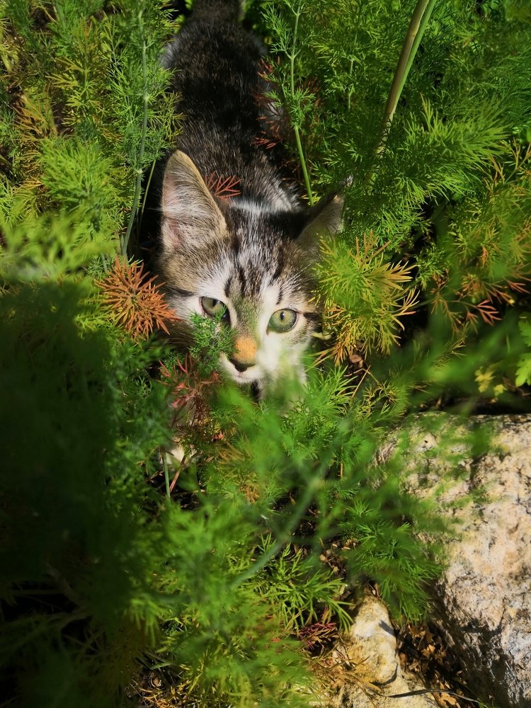 Photograph by Серафима Силина