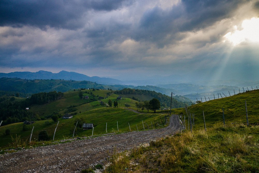 Photograph by Daniel Botez