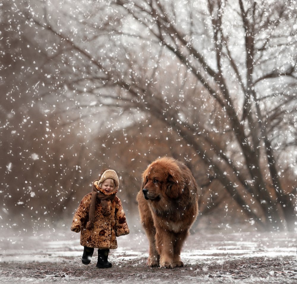 Photograph by Мария Бородулина