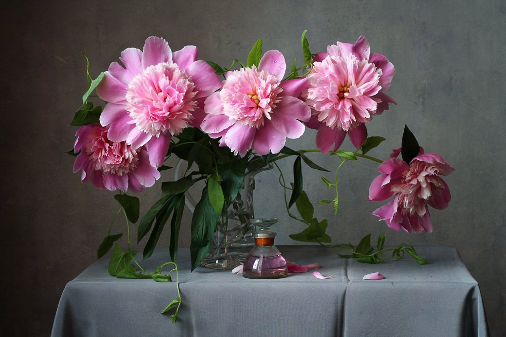 Photograph by Курочкина Диана