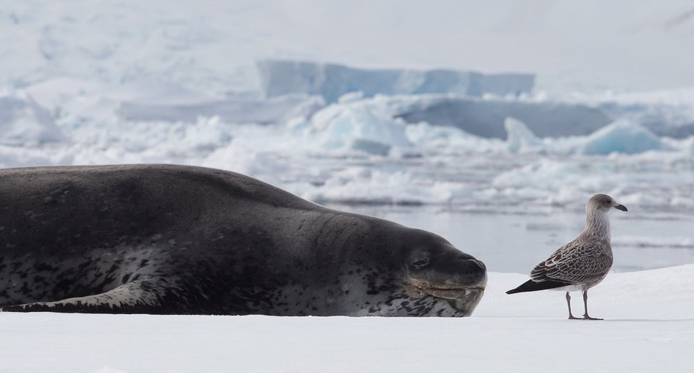 Photograph by Виктория