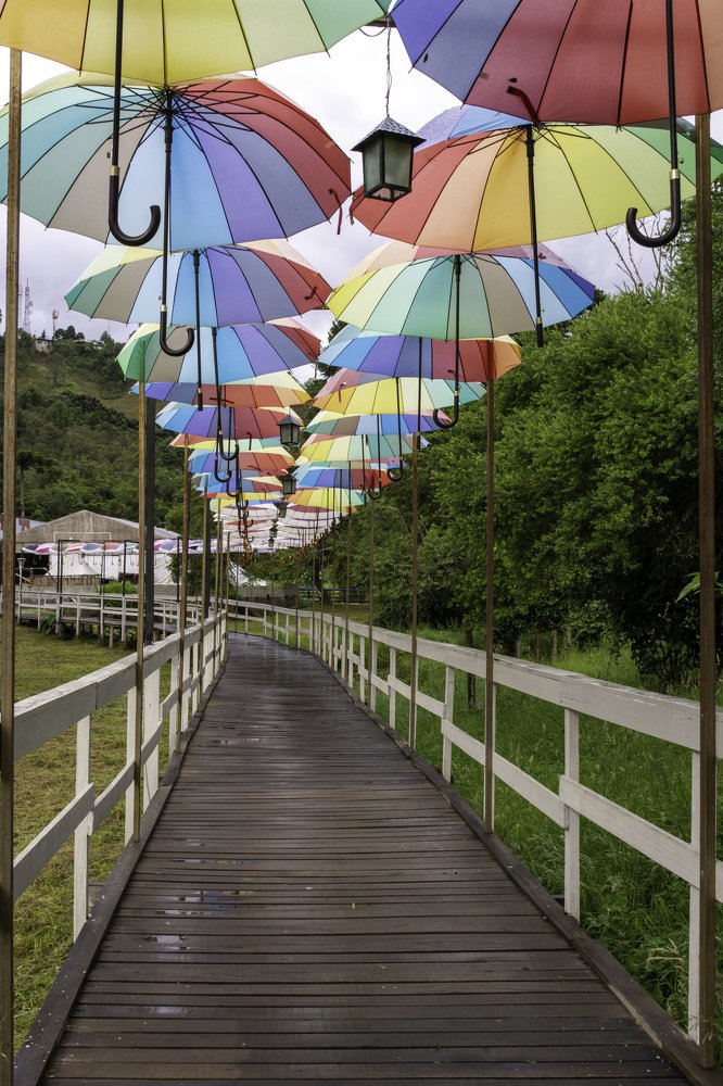 Photograph by Aparecido Donizete de Miranda