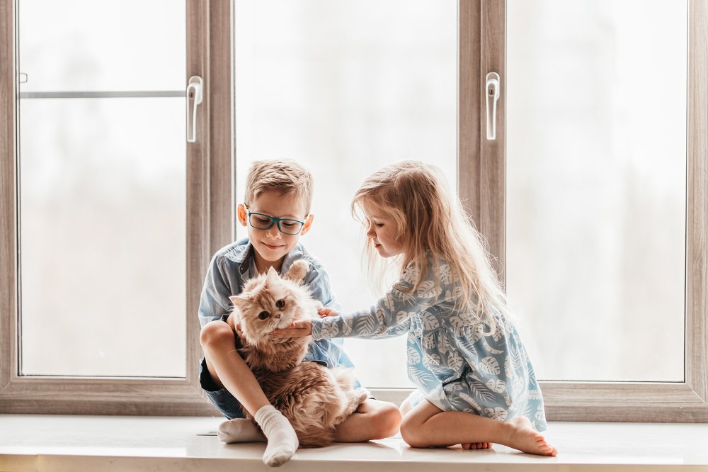 Photograph by Светлана Шенгелия