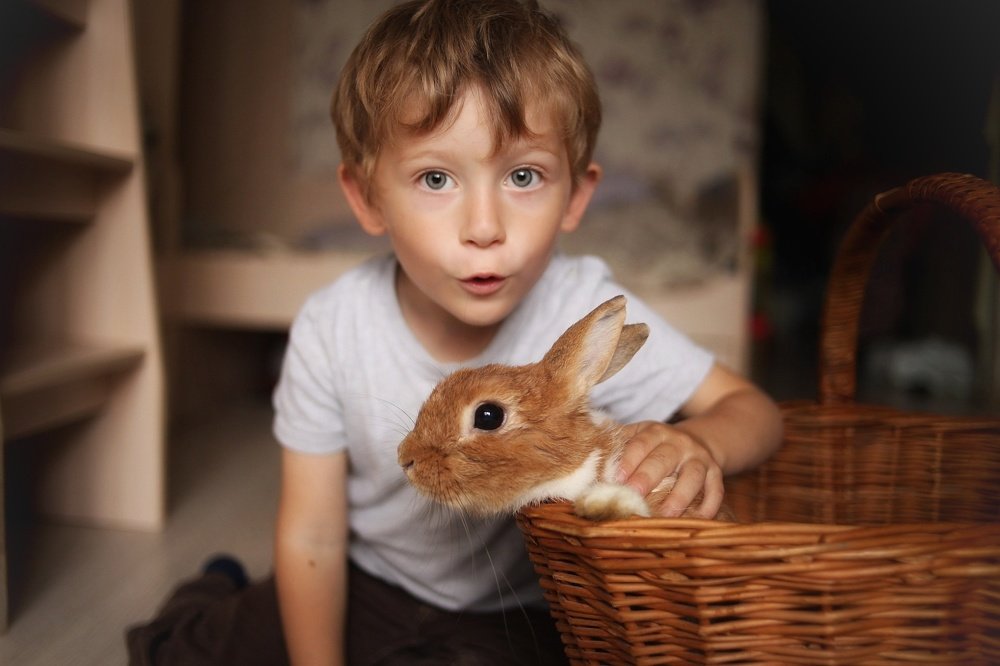 Photograph by Светлана Шенгелия