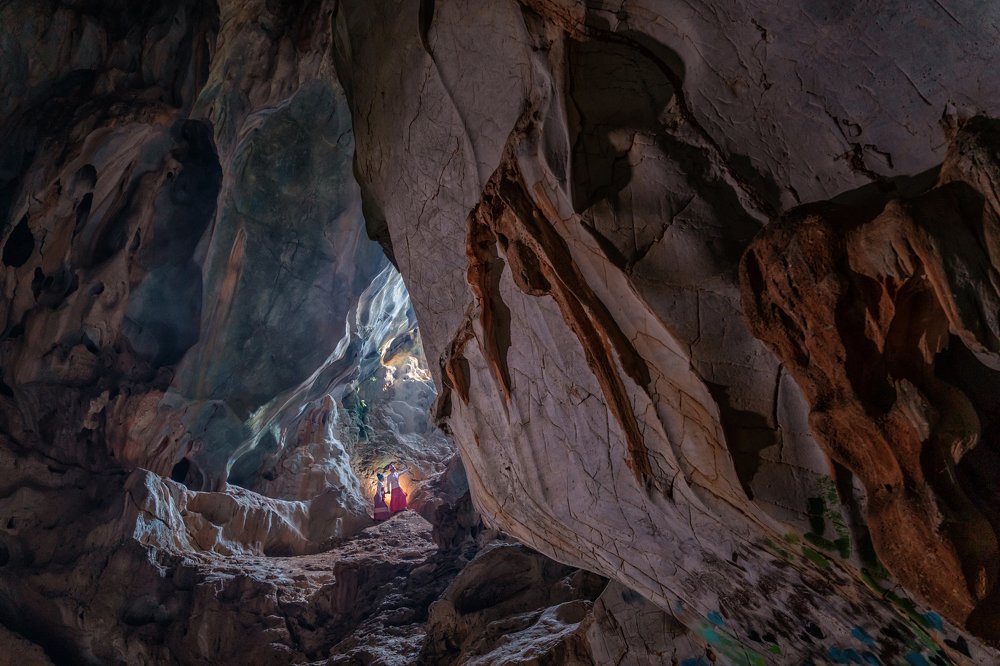 Into the light brought