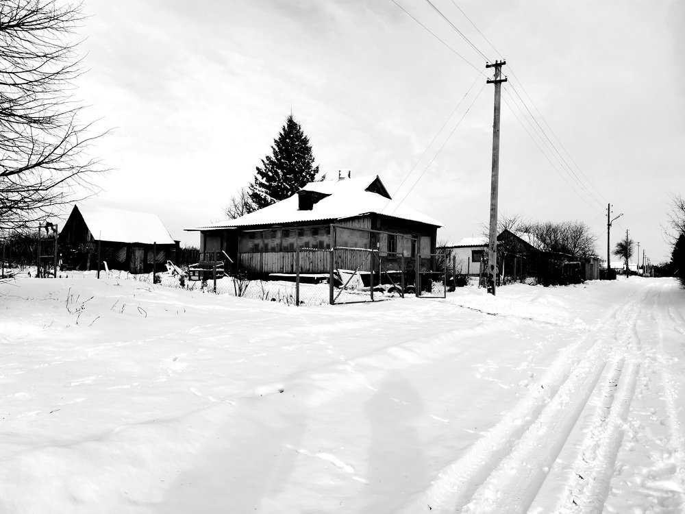 Photograph by Александр Костин