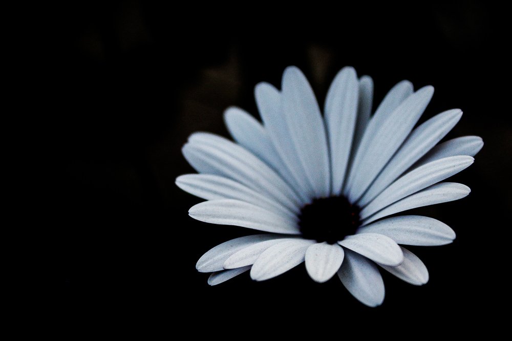 Photograph by Наталья Брунилина