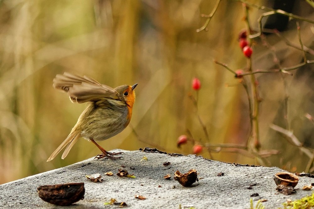 Photograph by zause01