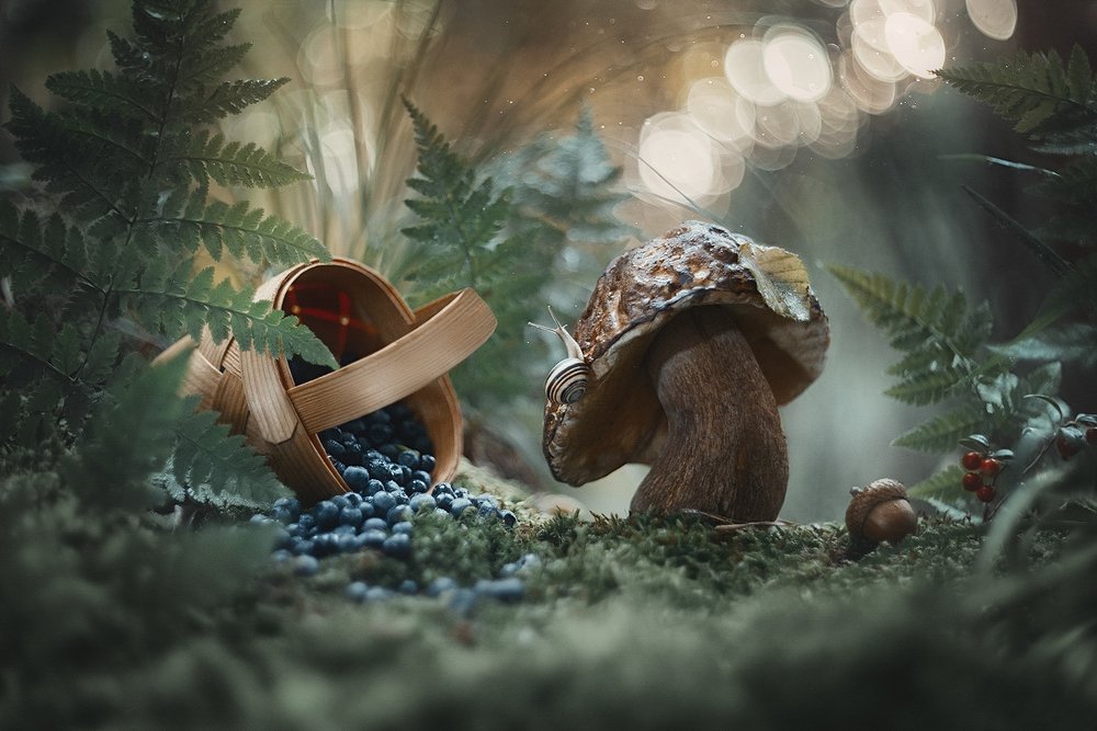 Photograph by Александр Чорный