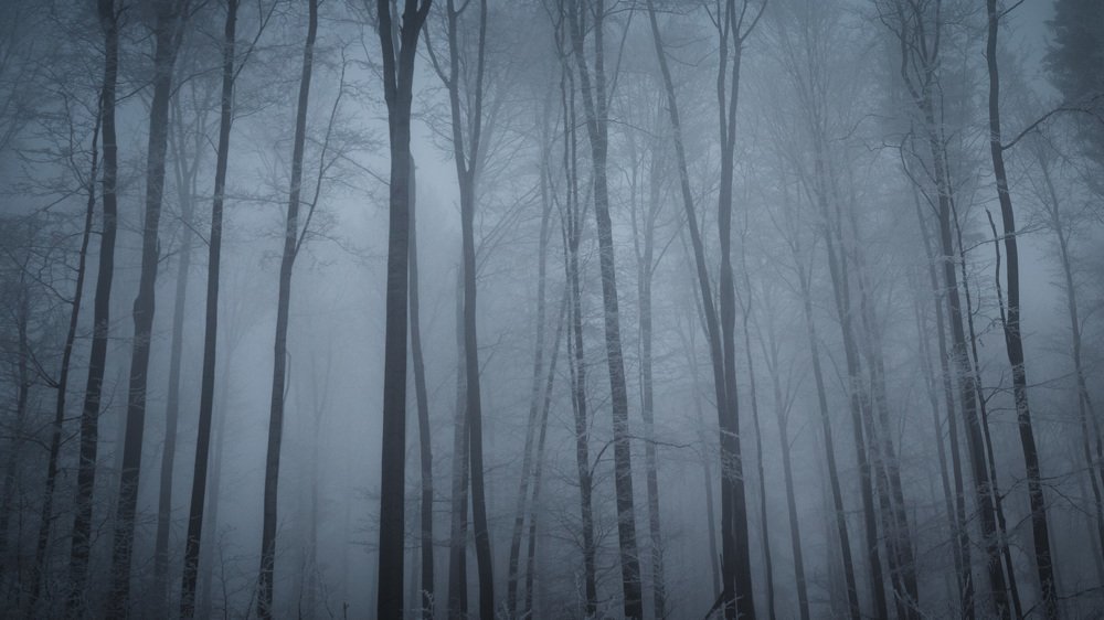 Photograph by Filip Micunda