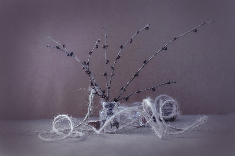 Photograph by Аликина Татьяна