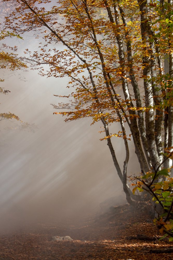 Photograph by Анастасия Заложнова