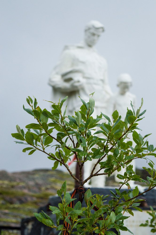 Photograph by Алина Изосимова