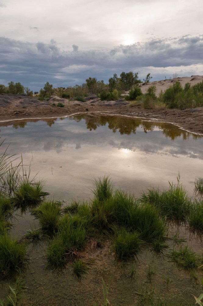 Отражение мира