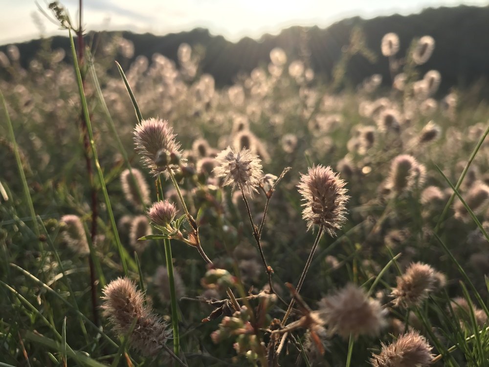 Photograph by Наталья