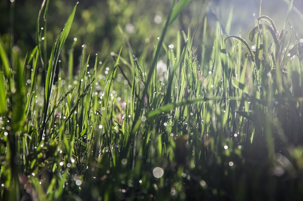 Photograph by Alex Sosnovskij