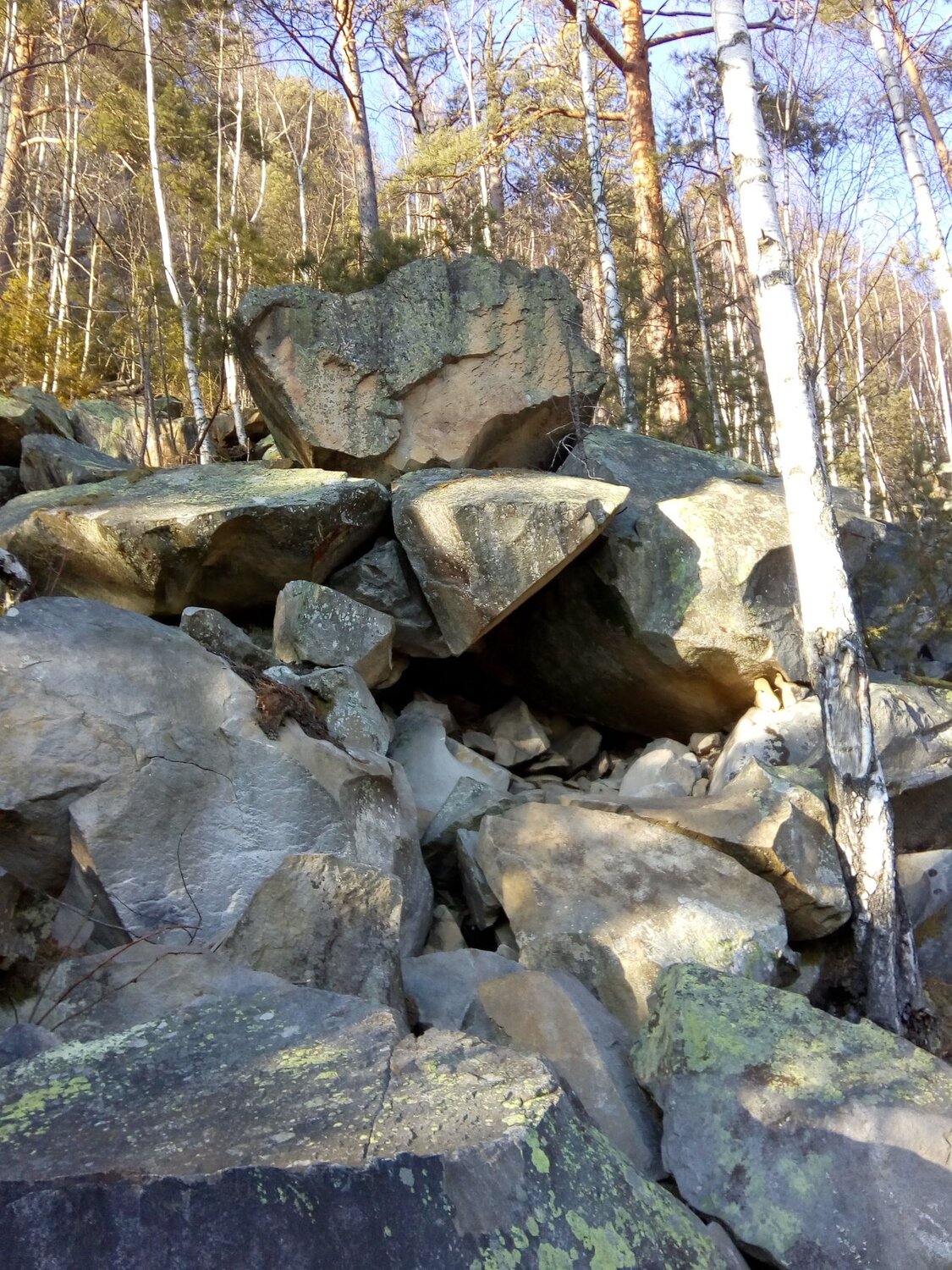 Photo #4397013