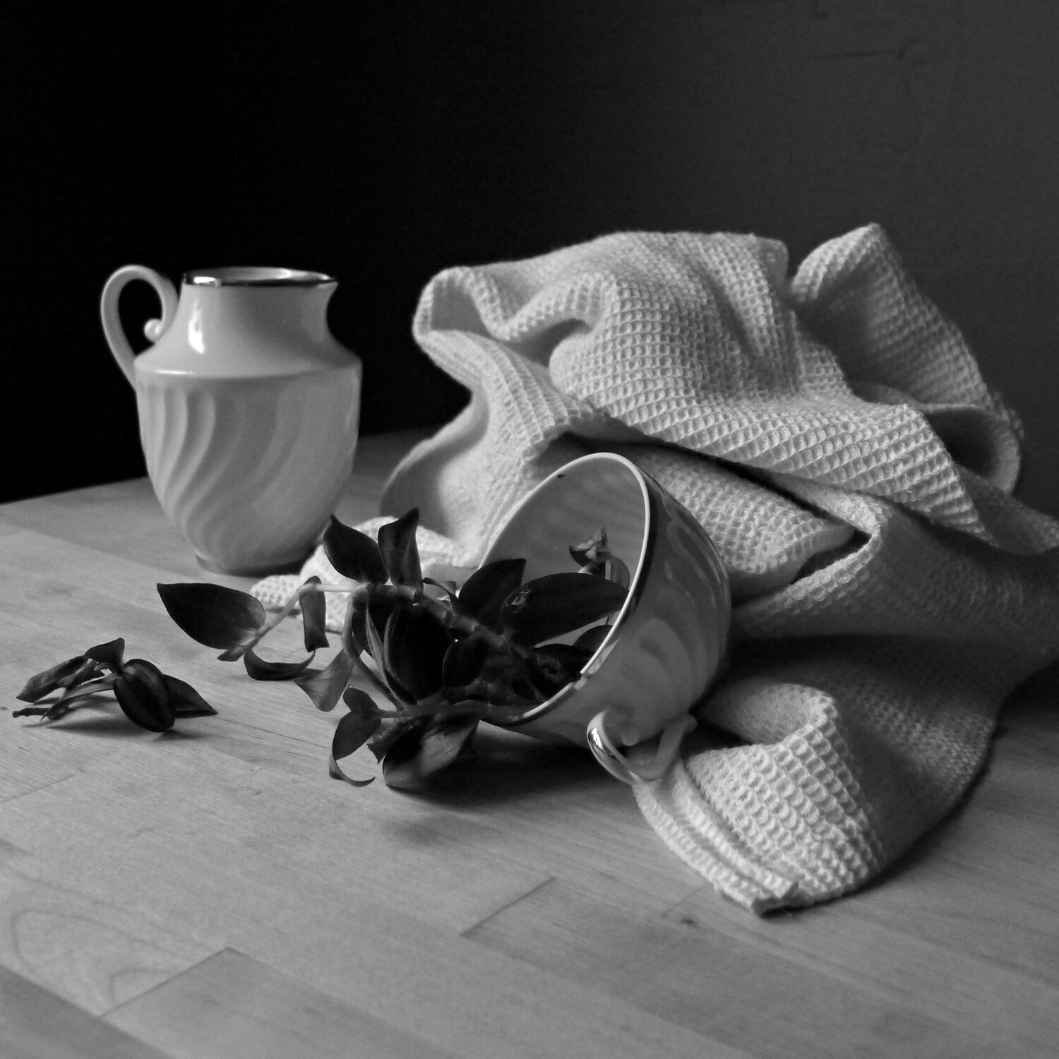 Photo #4397018