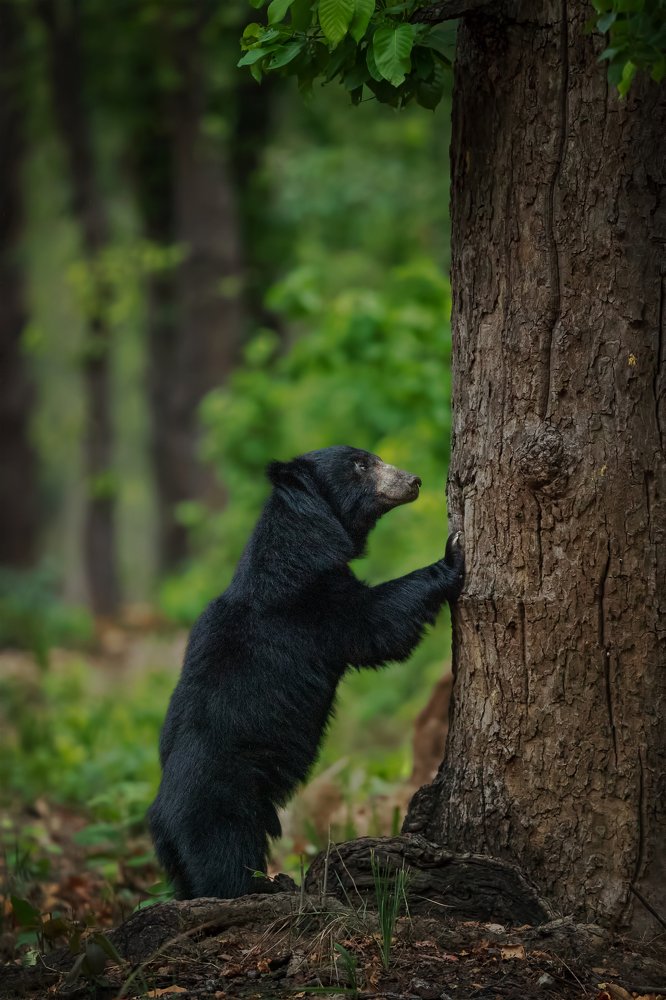 Photograph by Sarosh Lodhi