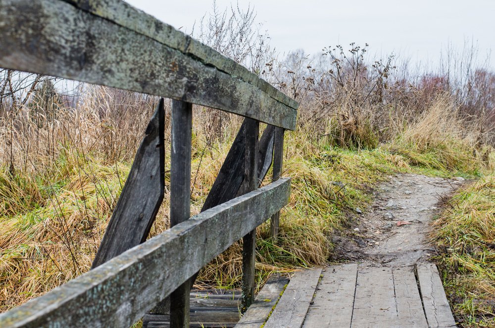 Photograph by Алина Изосимова