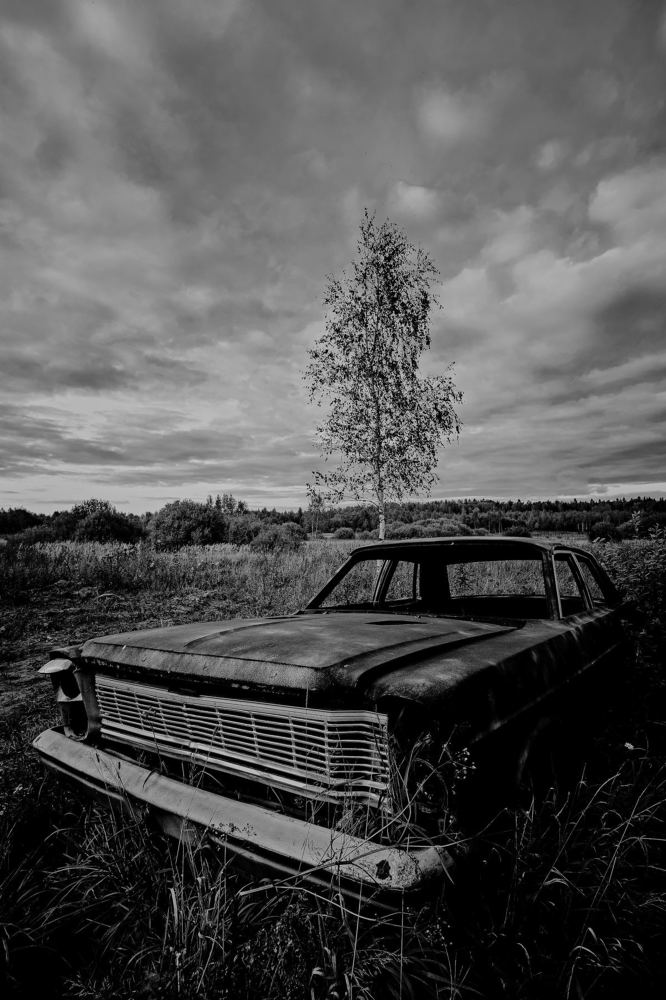 Photograph by Пётр Дедковский