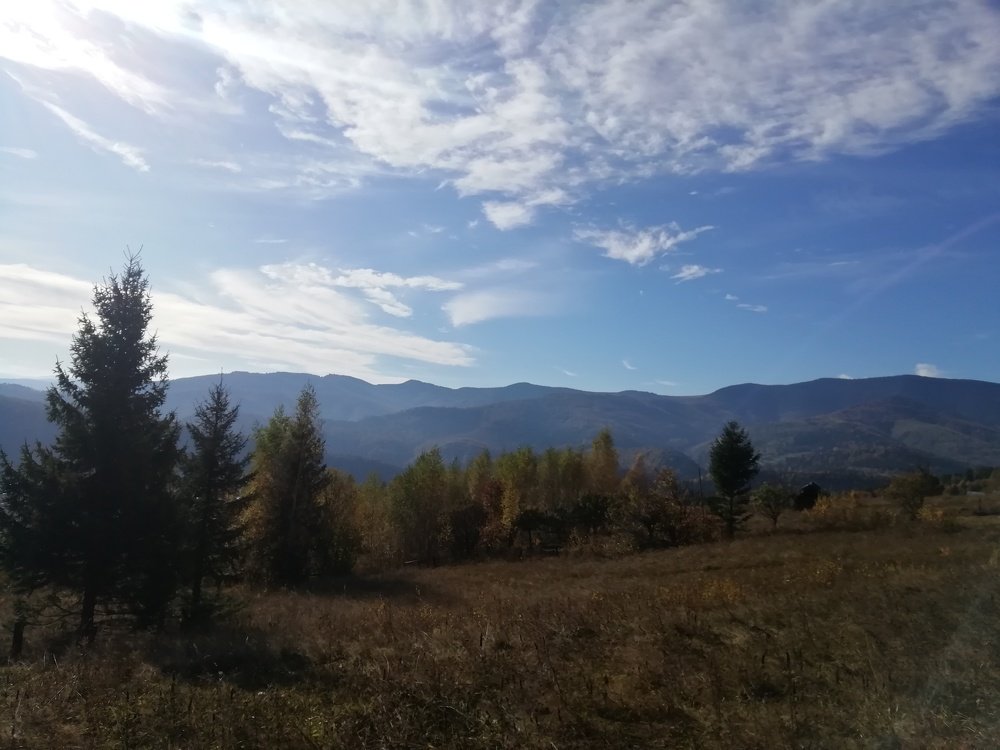 Photo #4397123