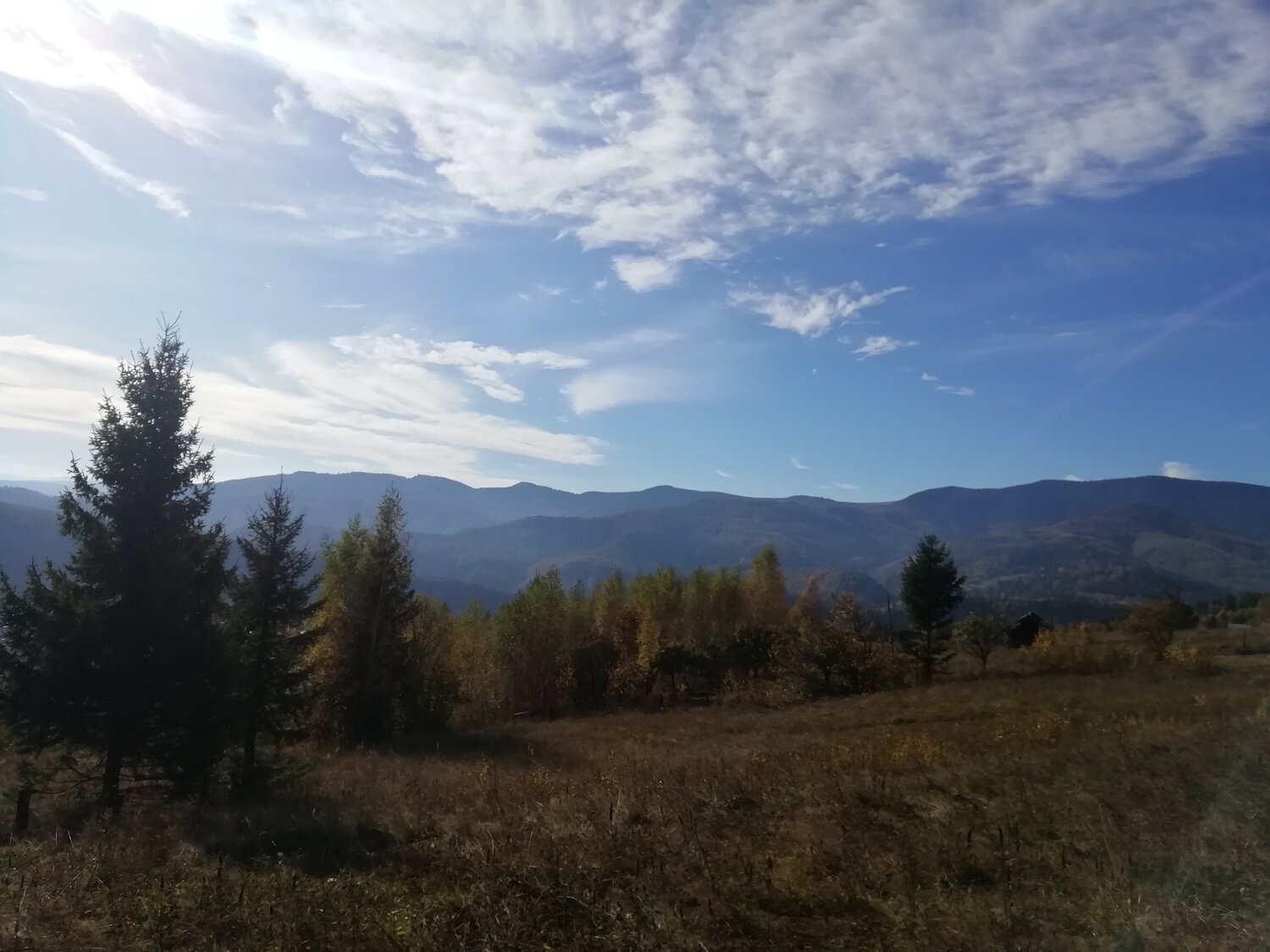 Photo #4397123