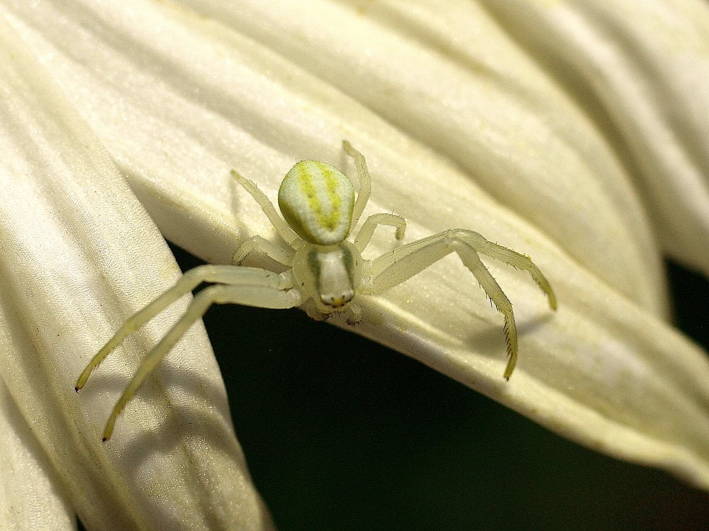 Photograph by Александр Петренко