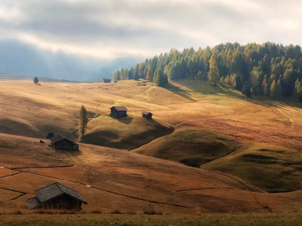 Фотография автора Татьяна Бурлакина
