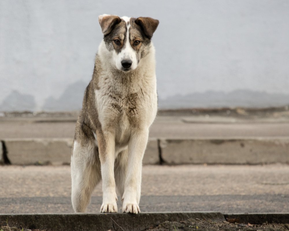 Photograph by Alexandra Chalova