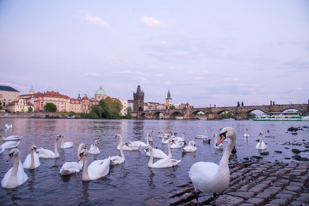 Photograph by Наталья Ковалёва