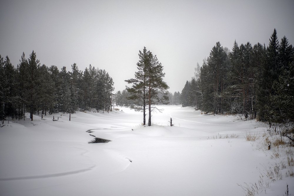 Photograph by Владимир Письмак
