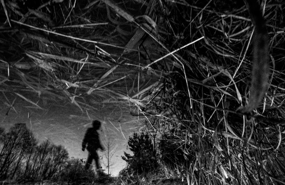 Photograph by Alexandr Tataev