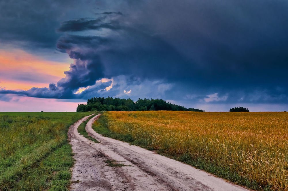 Photograph by Пётр Дедковский