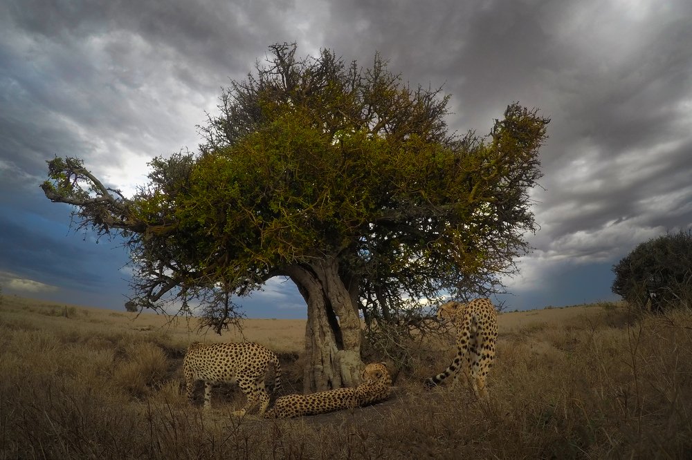 Photograph by Sarosh Lodhi