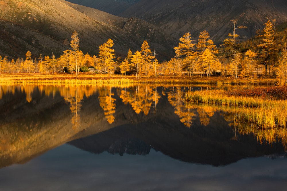 Photograph by Антон Селезнев