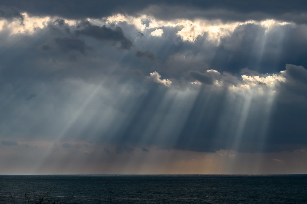 Photograph by Игорь Кац