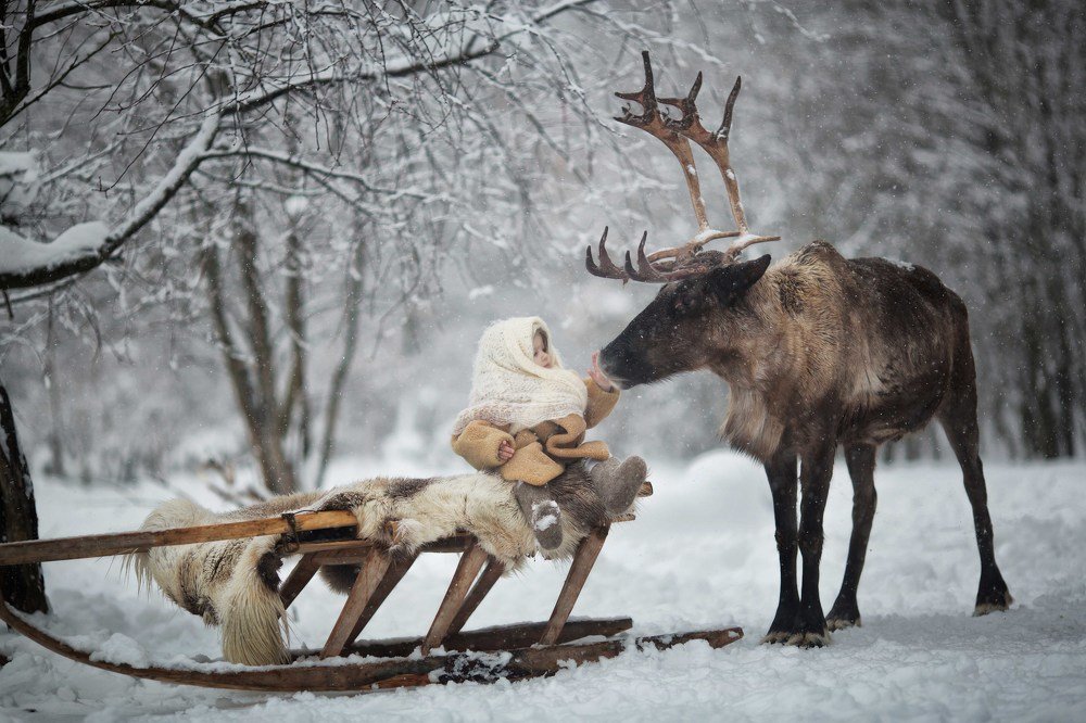 Photograph by Подольская Елена