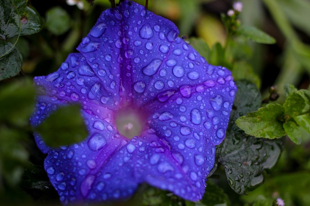 Photograph by Sohen d photography