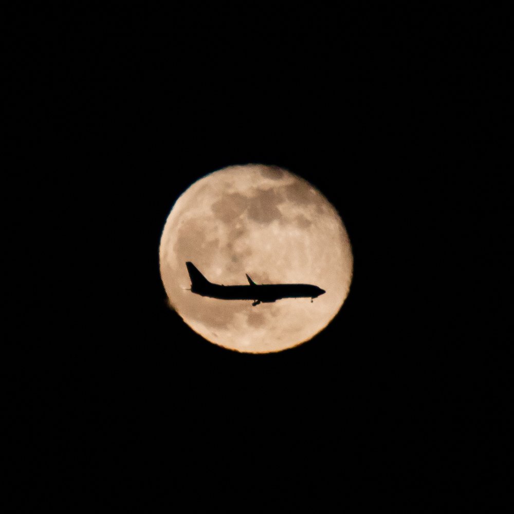 Аэропорт Домодедово.