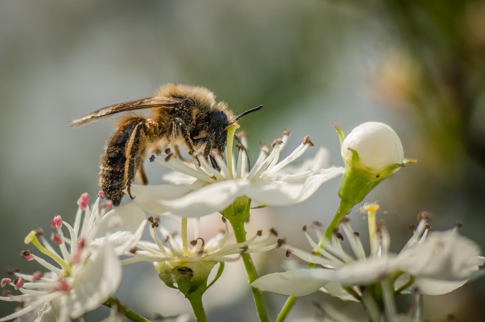 Photograph by Ясинский Юрий