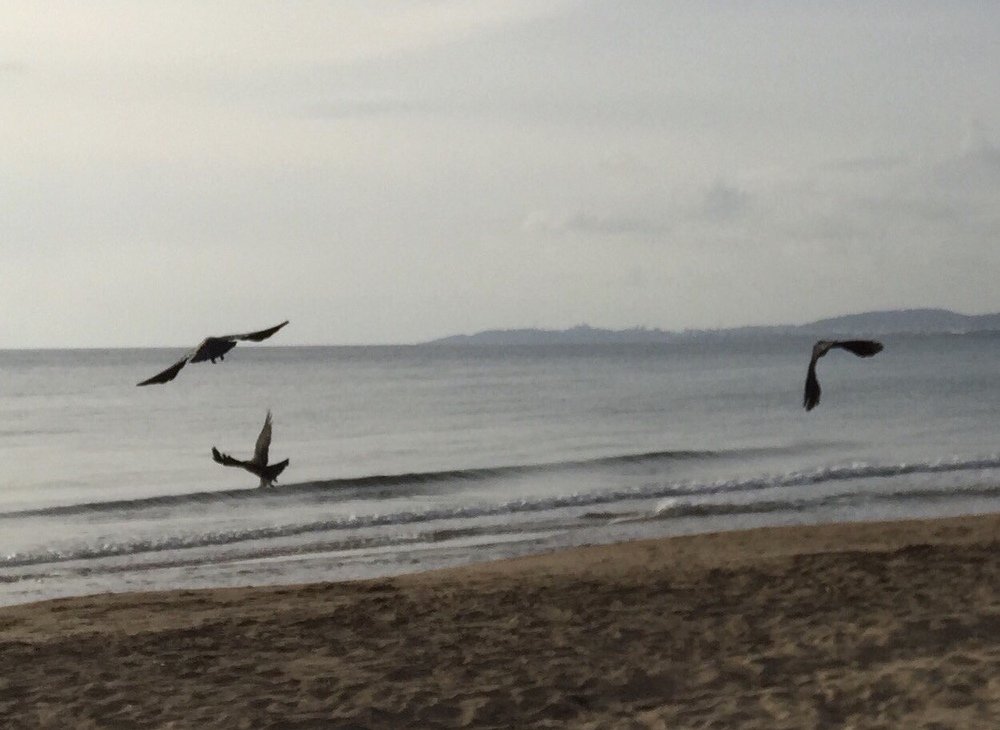 Photograph by Татьяна Синицына