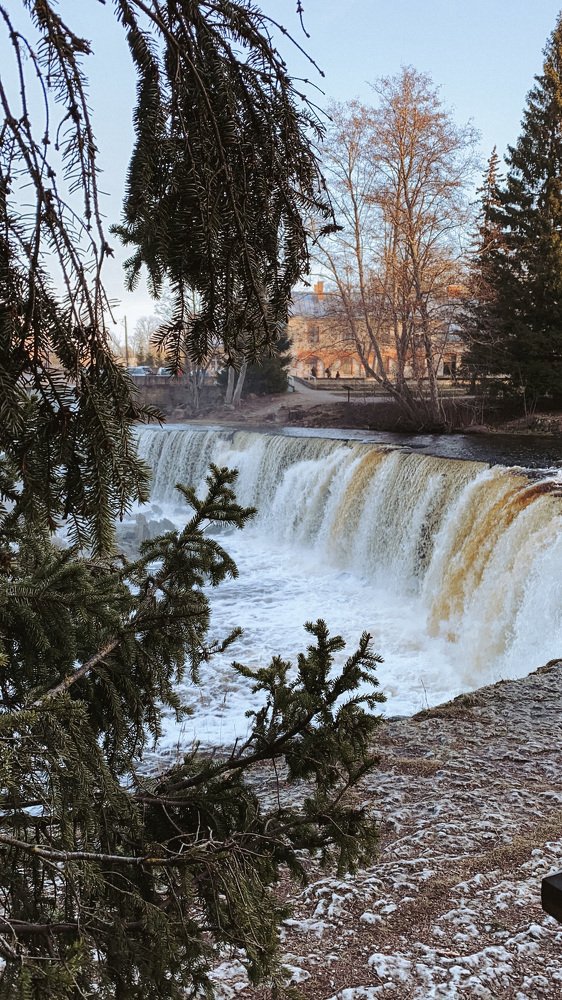 Photograph by Юлия Полищук