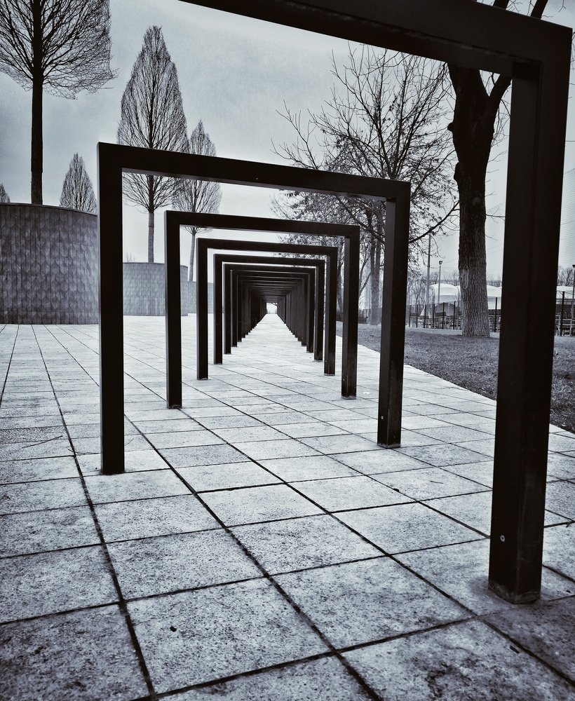 Photograph by Анастасия Самусенко