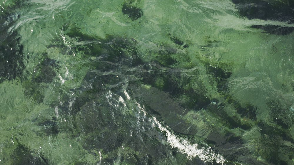 Photograph by Татьяна Савченко