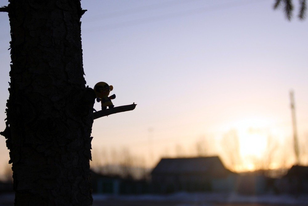 Photograph by Алина Маннапова