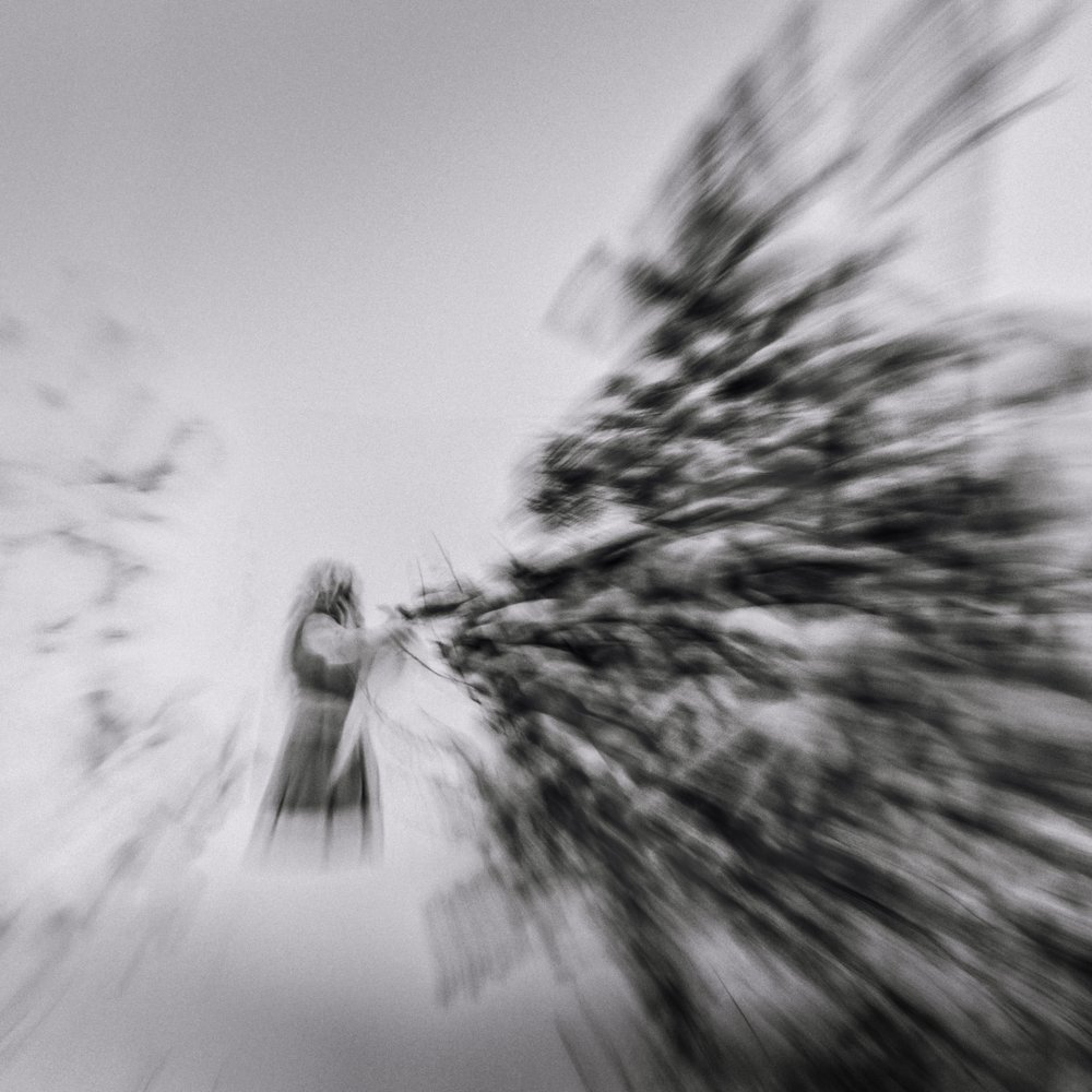 Сотворения мира