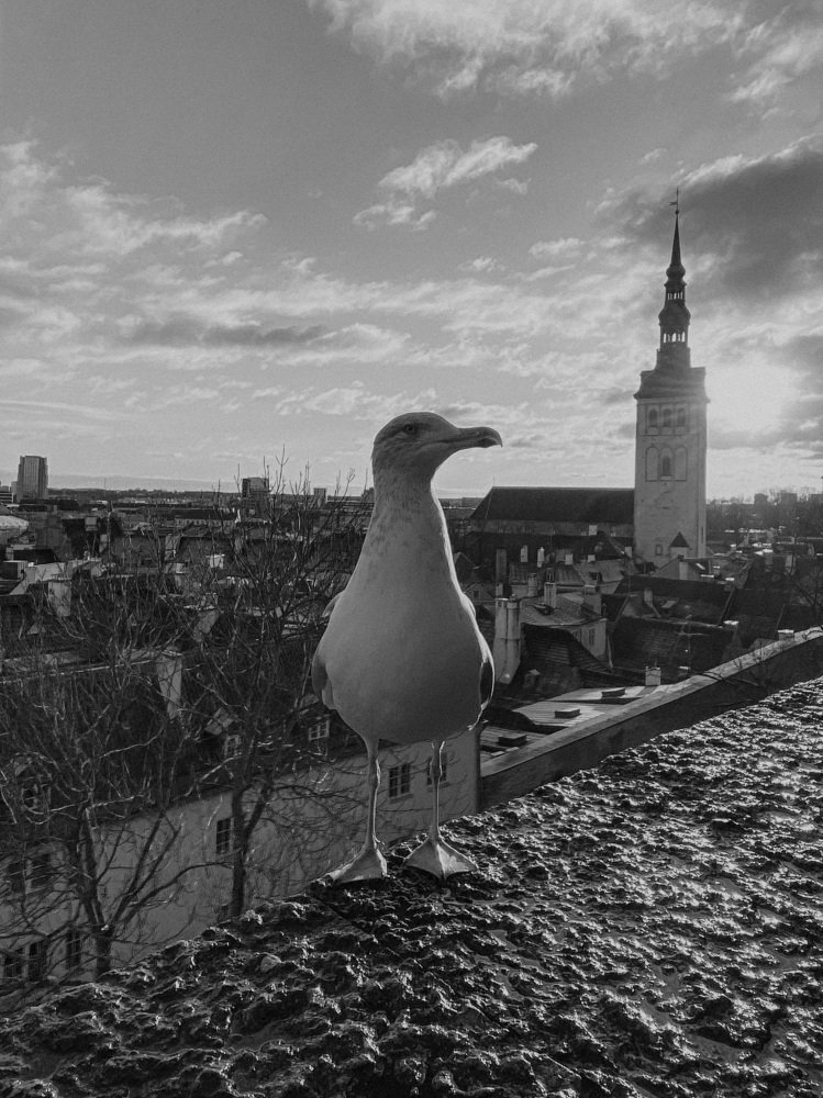 Photograph by Юлия Полищук