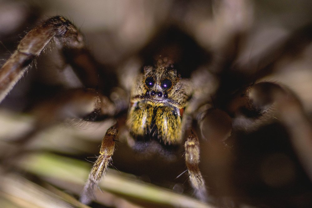 Photograph by Айша Кистаубаева