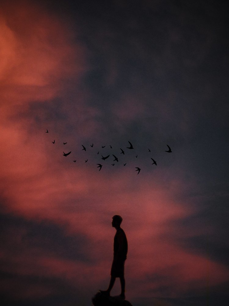 Photograph by Hadis Abedini